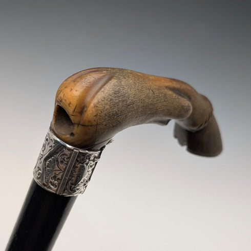 1899 British Antique Sterling Silver L-Handle Horn-Handled Walking Stick, 83cm