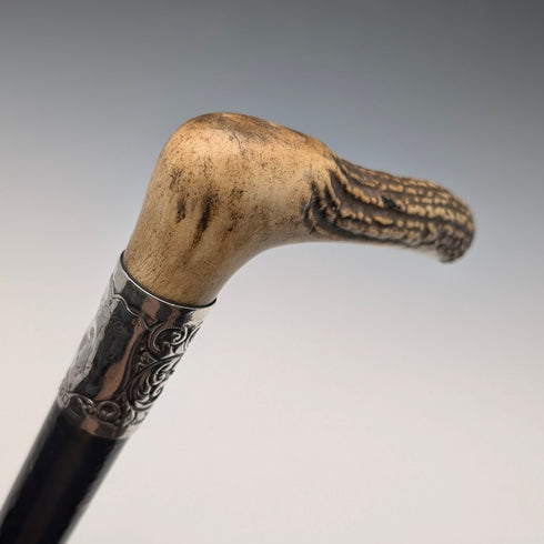 1911 British Antique Black Shaft Sterling Silver Antler L-Handle Walking Stick, 77cm