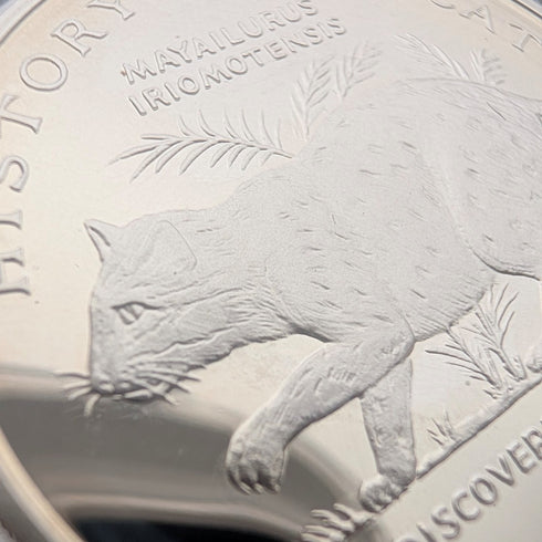 英國曼島銀克朗硬幣,貓歷史系列:一套4枚,PobjoyMint出品,帶盒子和說明書