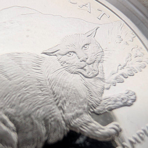 英國曼島銀克朗硬幣,貓歷史系列:一套4枚,PobjoyMint出品,帶盒子和說明書