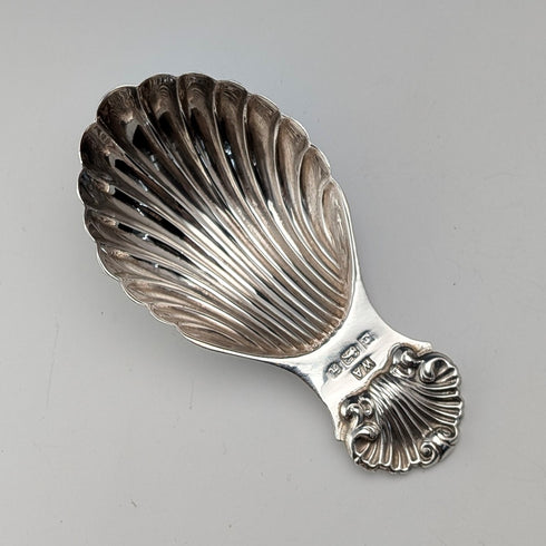 1982 British Vintage Sterling Silver Shell-Shaped Tea Caddy Spoon, 20g, William Adams Ltd.