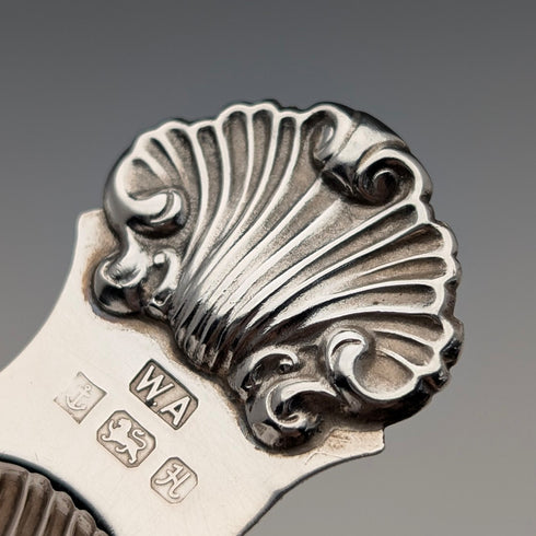 1982 British Vintage Sterling Silver Shell-Shaped Tea Caddy Spoon, 20g, William Adams Ltd.