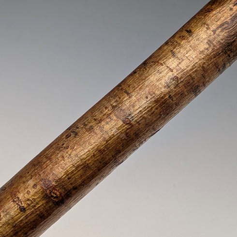 復古彩繪鸚鵡雕刻手柄 登山手杖 拐杖 136公分