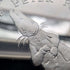 1998年 英國直布羅陀 克朗銀幣 「彼得兔」PobjoyMint 附盒、說明書
