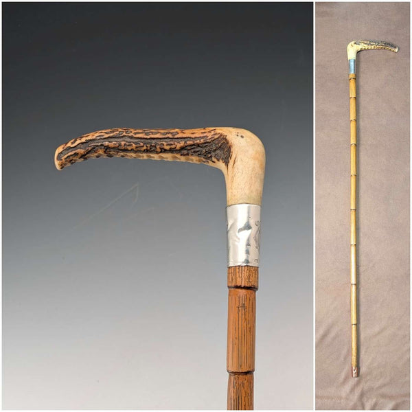 1906 年英國古董棕褐色軸鹿角離合器手柄手杖 80 厘米