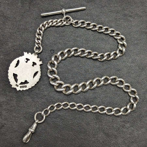 Cadena Albert de plata de ley (925) antigua inglesa, c. 1900, 56 g, con dije emblema de plata de ley