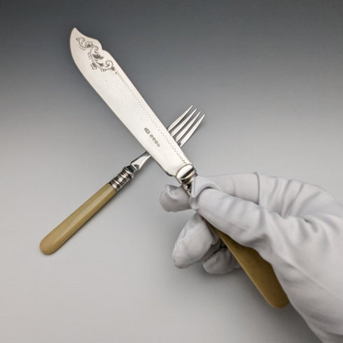 英國古董樹脂手柄銀盤魚餐具 6x2 & 套裝木盒裝