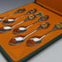 Made in Australia vintage silver plated teaspoon set of 6 in a case