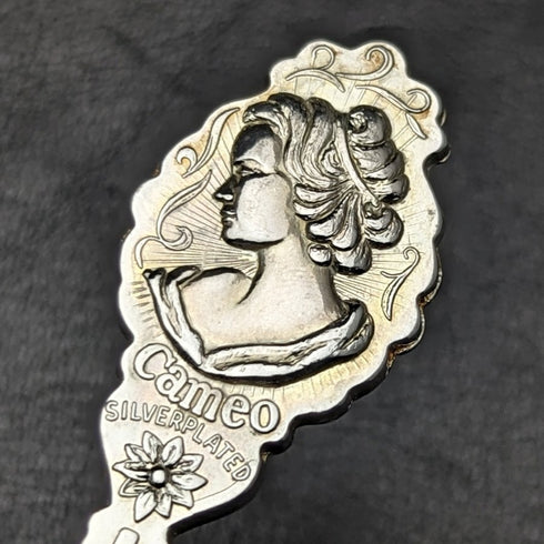 オーストラリア製 ヴィンテージ シルバープレート製 ティースプーン6本セット ケース入