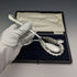 English antique silver plated serving spoon pair in case