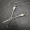British Vintage Silver Plated Grape Scissors 78g
