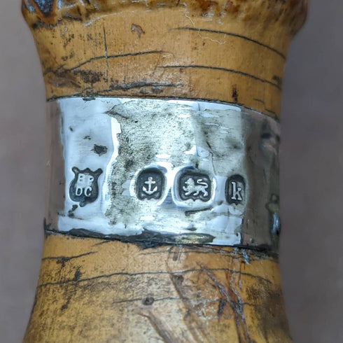 1909 年英國古董男士手杖粗竹桿 84 厘米