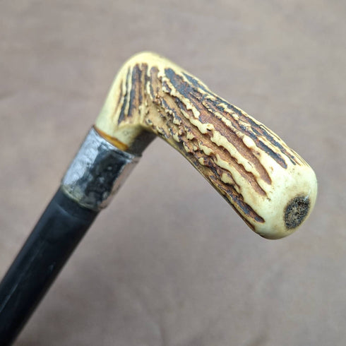 1894 British Antique Men's Walking Stick Deer Antlers Clutch Handle Thick Shaft 80cm