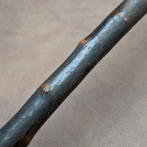 1901 年英國古董男士手杖牛角 L 形手柄 81 厘米