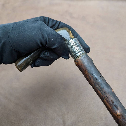 1901 年英國古董男士手杖牛角 L 形手柄 81 厘米