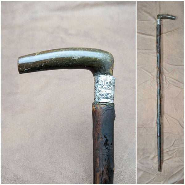 1901 British Antique Men's Walking Stick Horn L-handle 81cm